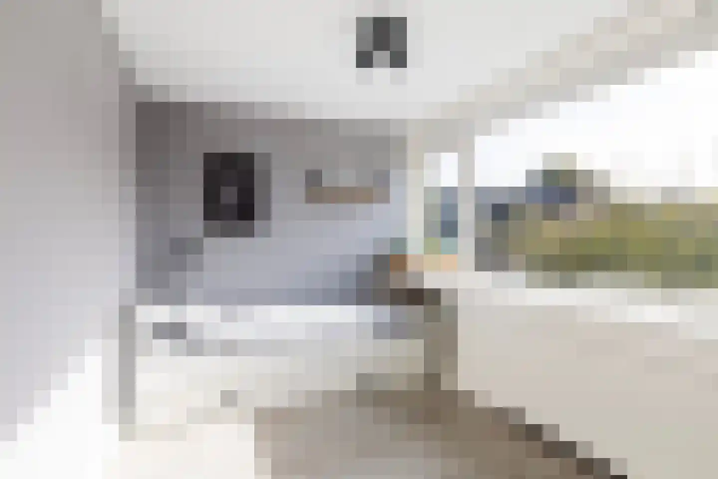 Adelaarstraat 4 Maassluis thumbnail 35