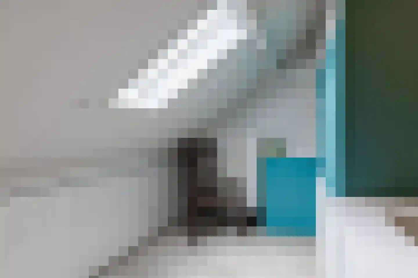 Adelaarstraat 4 Oldenzaal thumbnail 18