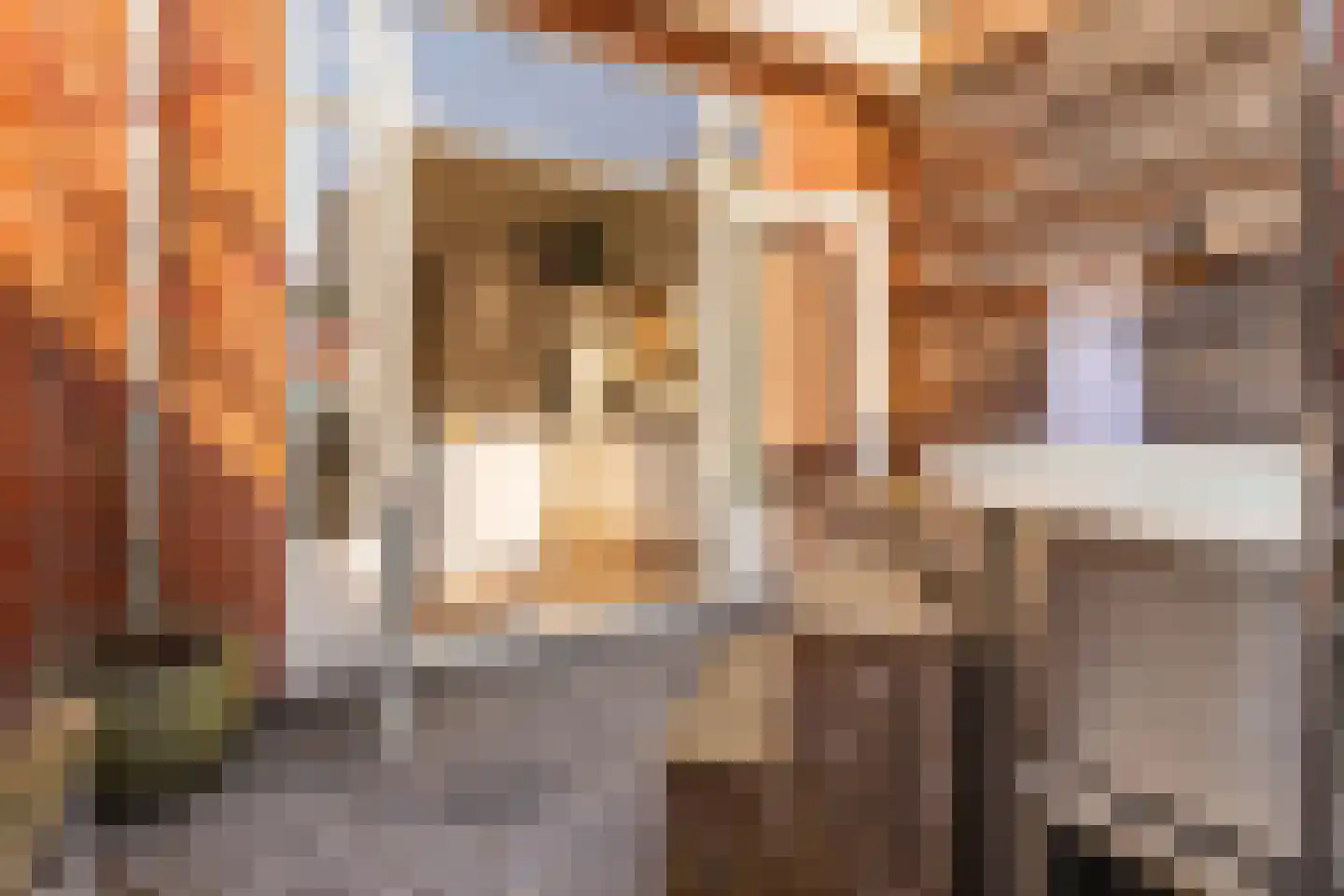 Adelaarstraat 42 Utrecht thumbnail 30