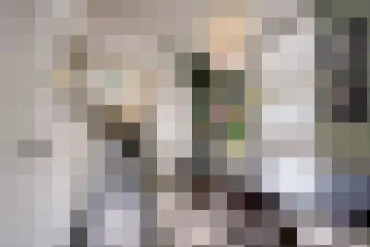 Adelaarstraat 45 Utrecht thumbnail 16