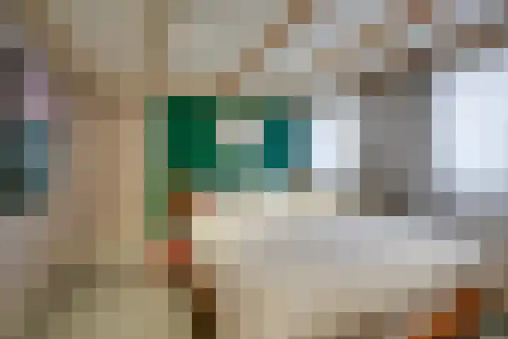 Adelaarstraat 45 Utrecht thumbnail 32