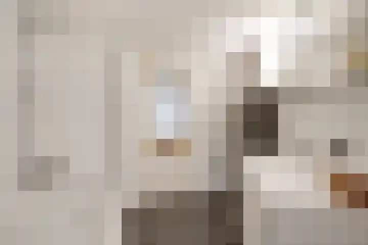 Adelaarstraat 45 Utrecht thumbnail 37