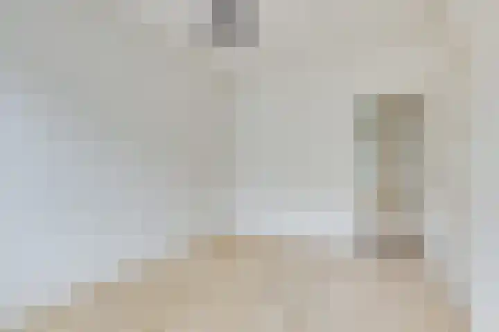 Adelaarstraat 59 Utrecht thumbnail 9
