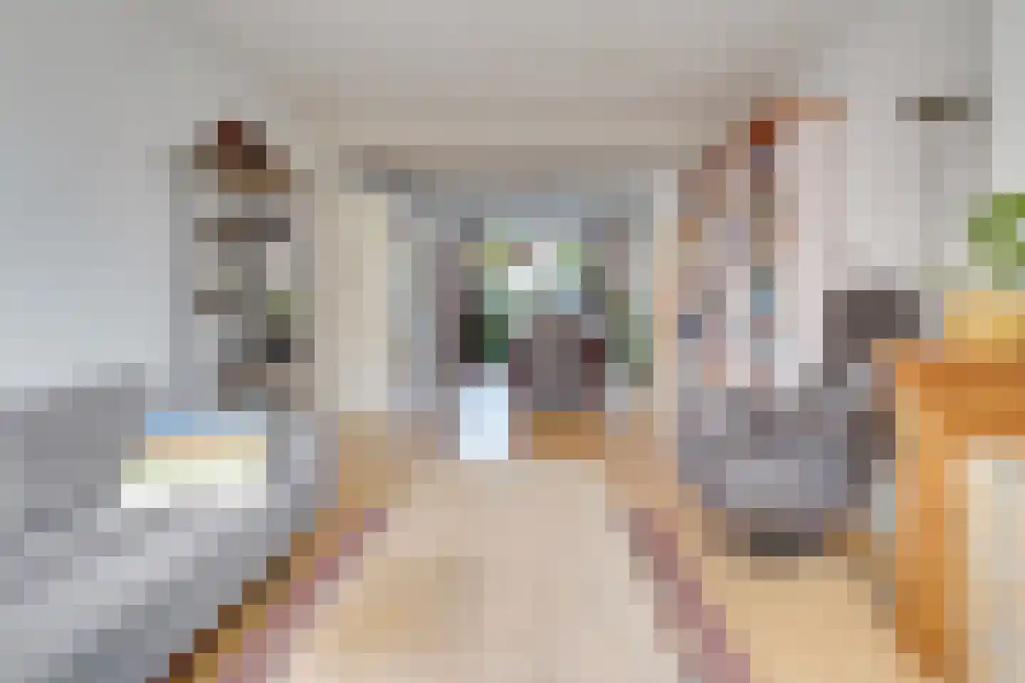 Adelaarstraat 92 Utrecht thumbnail 10