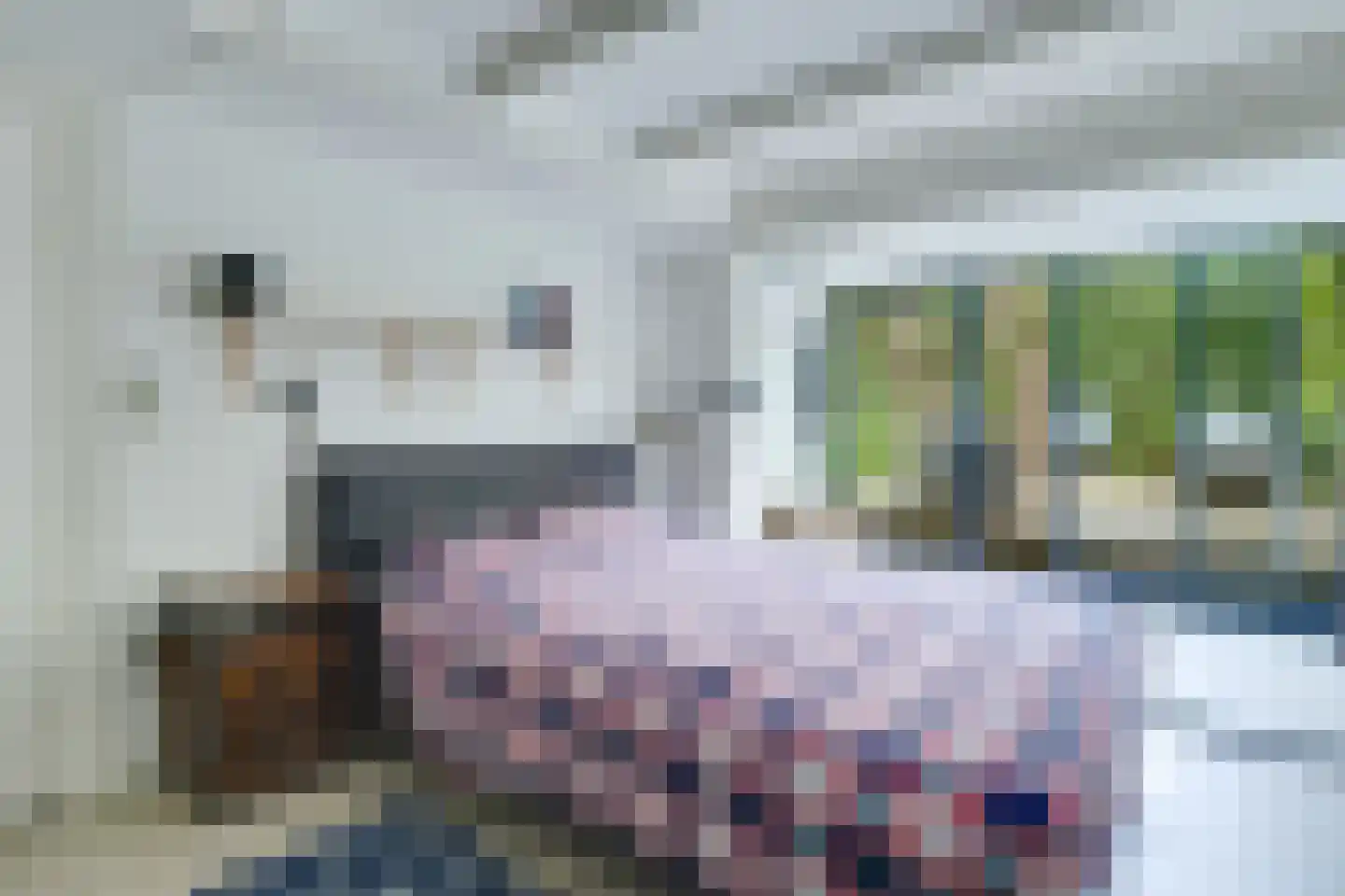 Adelaarstraat 92 Utrecht thumbnail 37