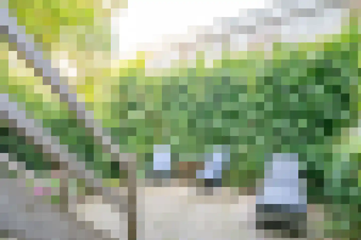 Adelaarstraat 92 Utrecht thumbnail 4