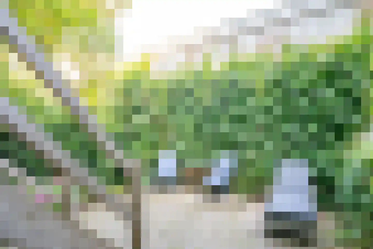 Adelaarstraat 92 Utrecht thumbnail 45