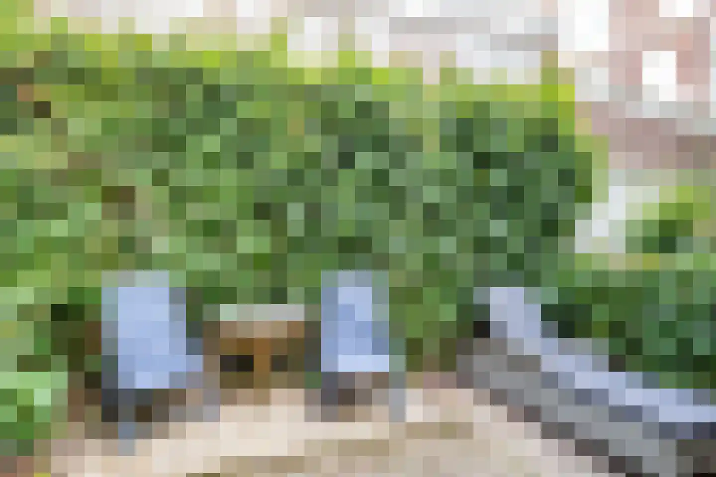 Adelaarstraat 92 Utrecht thumbnail 47