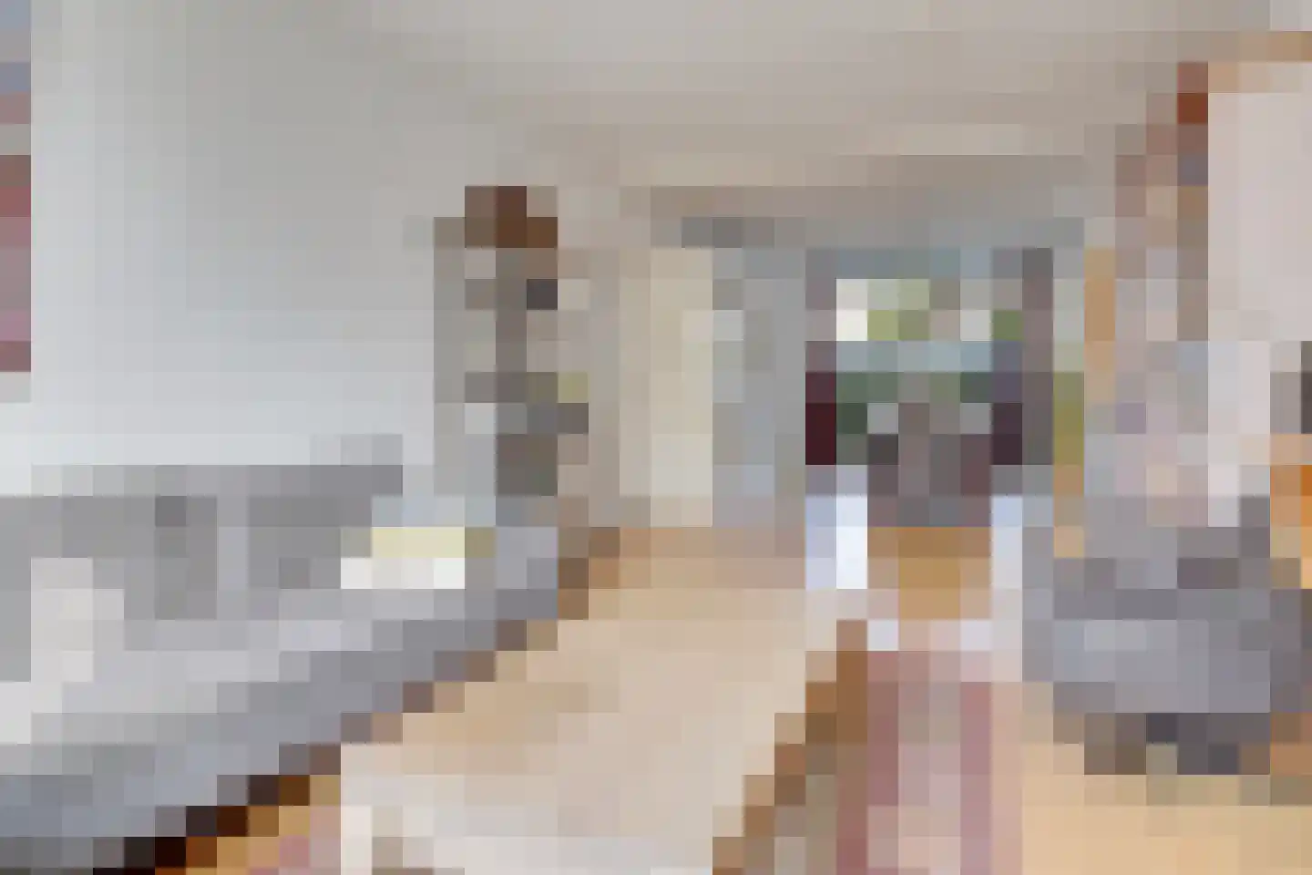 Adelaarstraat 92 Utrecht thumbnail 9