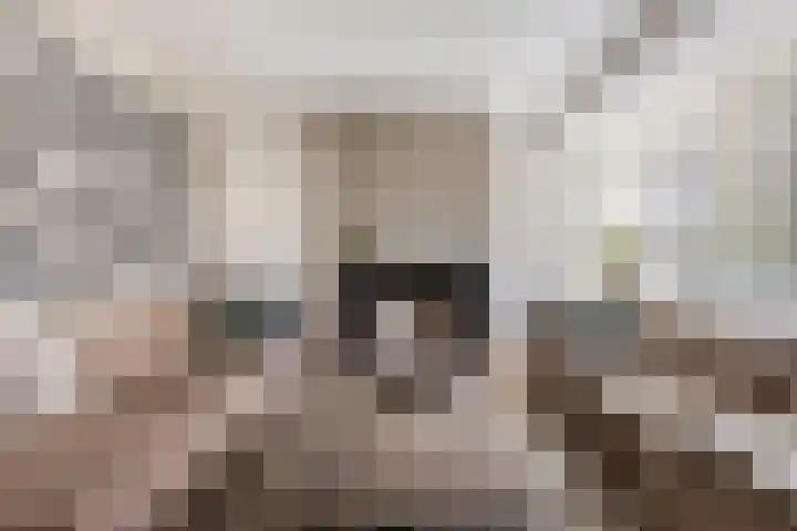Adelaarsvaren 47 Bergschenhoek thumbnail 10