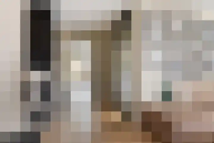 Adelaarsvaren 47 Bergschenhoek thumbnail 14