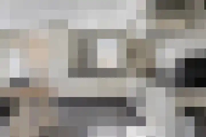 Adelaarsvaren 47 Bergschenhoek thumbnail 16