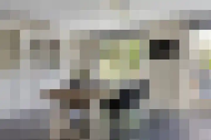 Adelaarsvaren 47 Bergschenhoek thumbnail 17