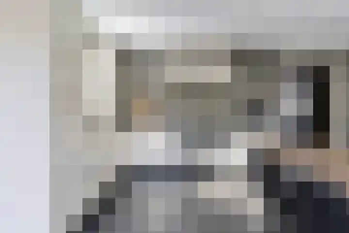 Adelaarsvaren 47 Bergschenhoek thumbnail 18