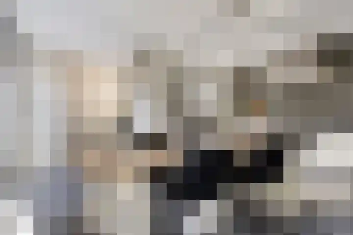 Adelaarsvaren 47 Bergschenhoek thumbnail 19