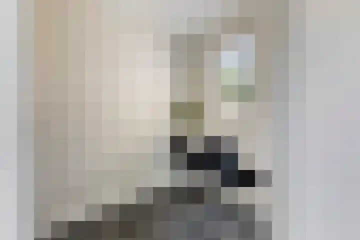 Adelaarsvaren 47 Bergschenhoek thumbnail 20