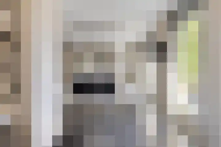 Adelaarsvaren 47 Bergschenhoek thumbnail 21
