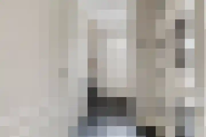 Adelaarsvaren 47 Bergschenhoek thumbnail 22