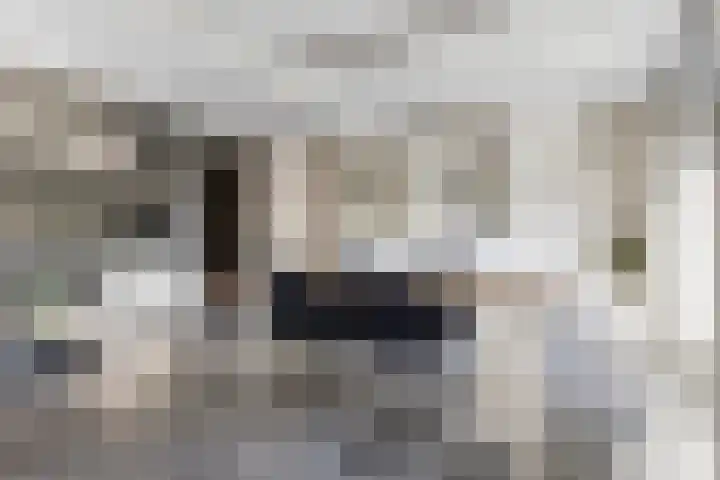 Adelaarsvaren 47 Bergschenhoek thumbnail 23