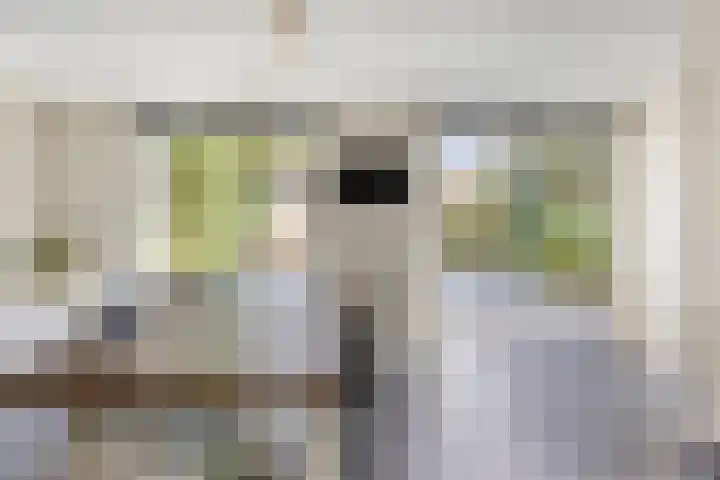 Adelaarsvaren 47 Bergschenhoek thumbnail 24