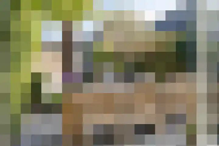 Adelaarsvaren 47 Bergschenhoek thumbnail 25