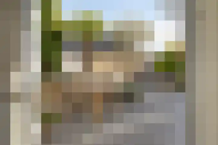 Adelaarsvaren 47 Bergschenhoek thumbnail 26