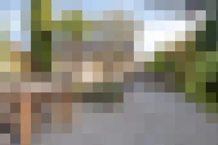 Adelaarsvaren 47 Bergschenhoek thumbnail 28