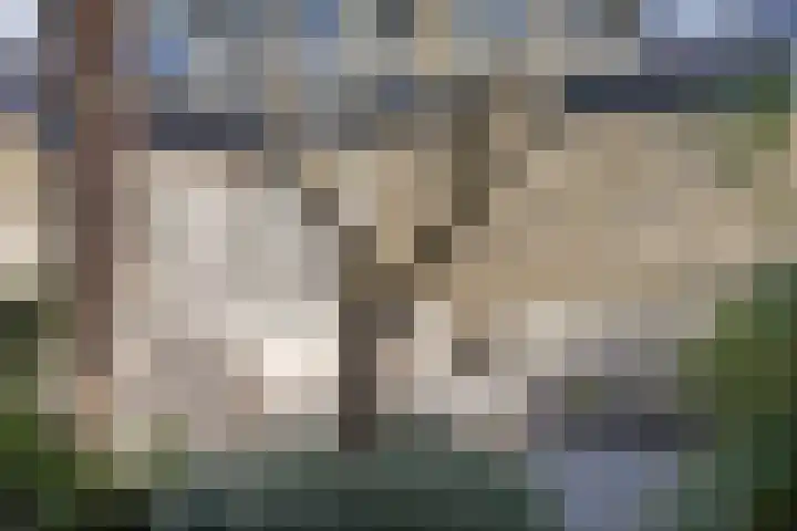 Adelaarsvaren 47 Bergschenhoek thumbnail 29