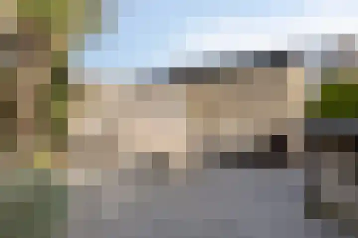 Adelaarsvaren 47 Bergschenhoek thumbnail 30