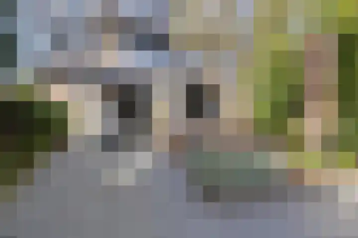 Adelaarsvaren 47 Bergschenhoek thumbnail 32