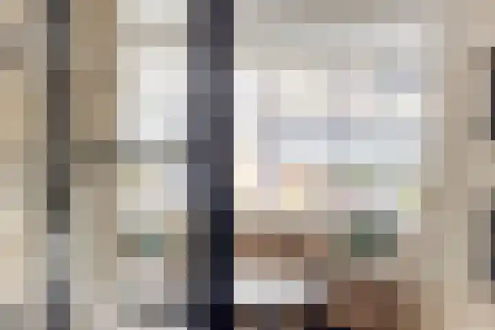 Adelaarsvaren 47 Bergschenhoek thumbnail 33