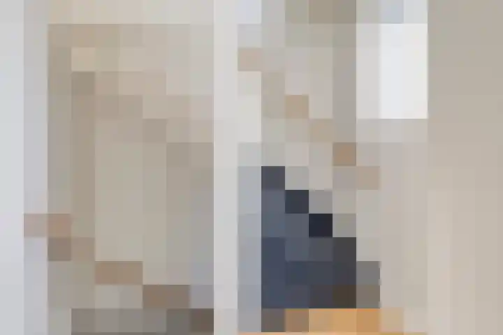 Adelaarsvaren 47 Bergschenhoek thumbnail 34
