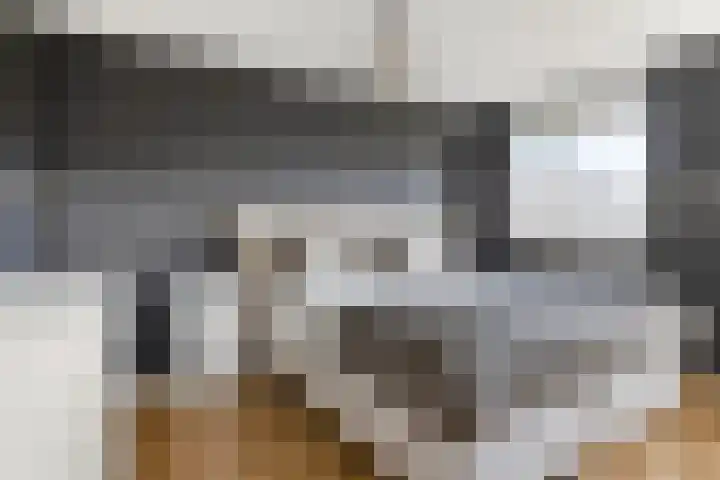 Adelaarsvaren 47 Bergschenhoek thumbnail 35