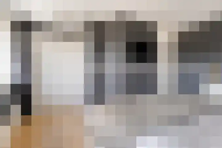 Adelaarsvaren 47 Bergschenhoek thumbnail 36