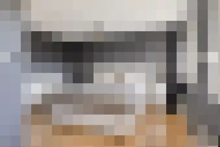 Adelaarsvaren 47 Bergschenhoek thumbnail 37