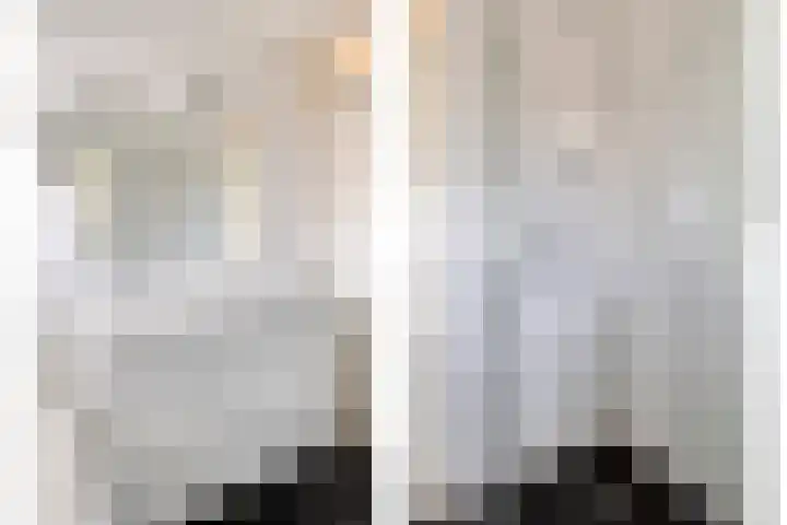 Adelaarsvaren 47 Bergschenhoek thumbnail 39