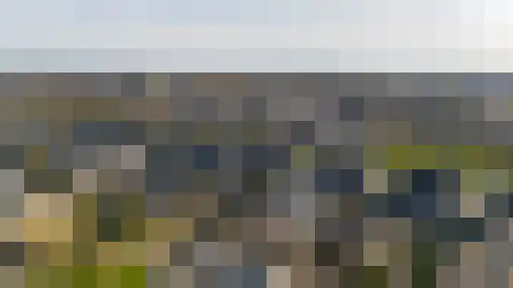 Adelaarsvaren 47 Bergschenhoek thumbnail 4
