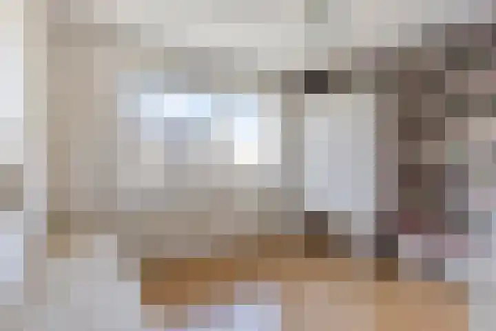 Adelaarsvaren 47 Bergschenhoek thumbnail 40