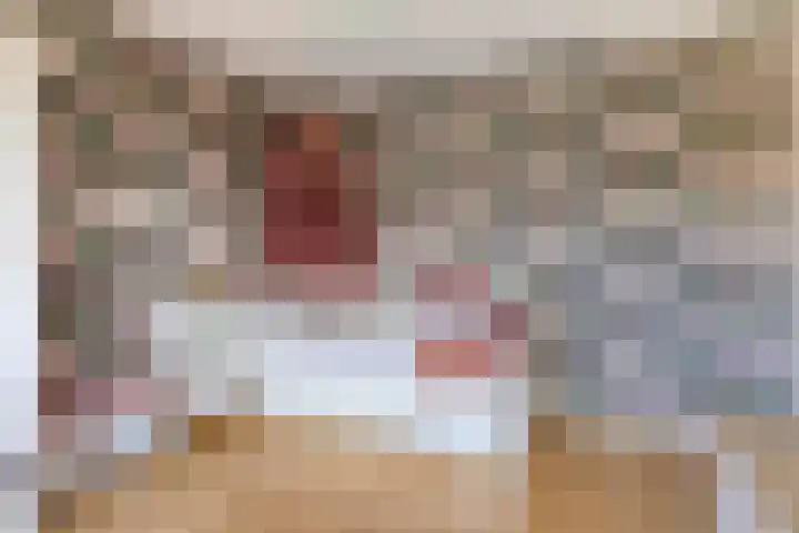 Adelaarsvaren 47 Bergschenhoek thumbnail 41