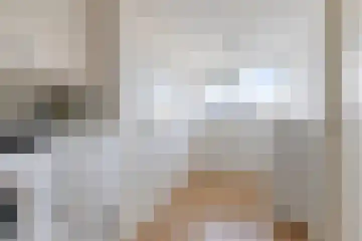 Adelaarsvaren 47 Bergschenhoek thumbnail 42