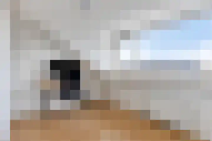 Adelaarsvaren 47 Bergschenhoek thumbnail 46
