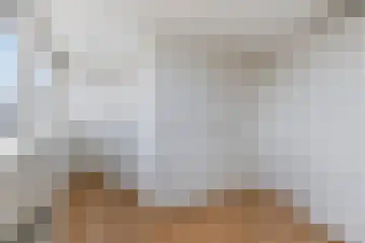 Adelaarsvaren 47 Bergschenhoek thumbnail 48
