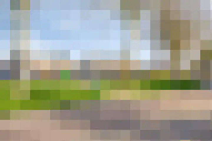 Adelaarsvaren 47 Bergschenhoek thumbnail 49