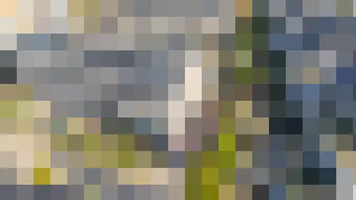 Adelaarsvaren 47 Bergschenhoek thumbnail 5