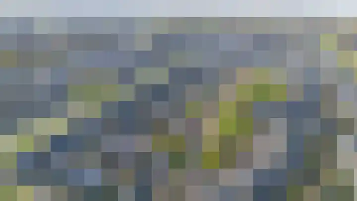 Adelaarsvaren 47 Bergschenhoek thumbnail 51