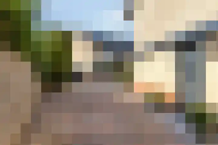 Adelaarsvaren 47 Bergschenhoek thumbnail 6