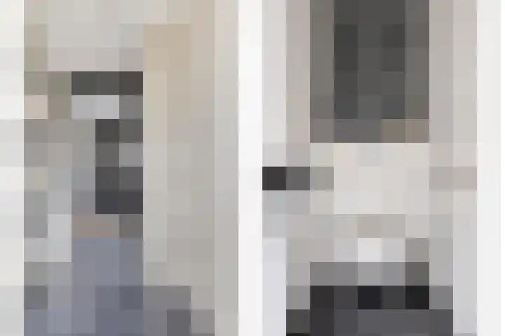 Adelaarsvaren 47 Bergschenhoek thumbnail 7