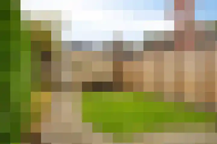 Adelaarsvaren 69 Bergschenhoek thumbnail 11