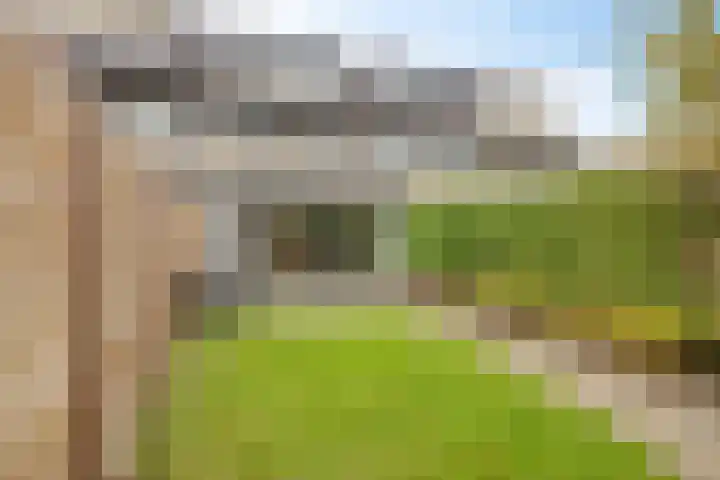 Adelaarsvaren 69 Bergschenhoek thumbnail 12