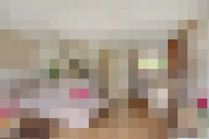 Adelaarsvaren 69 Bergschenhoek thumbnail 13